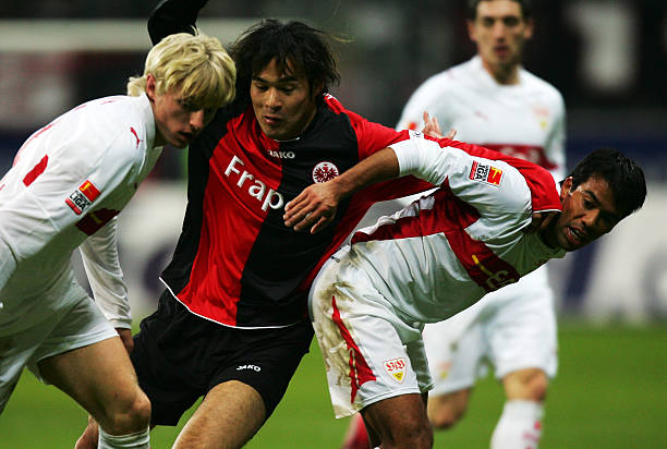 这一先例证 这一先例证